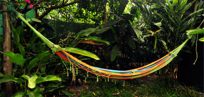 Toro River Costa Rica White Water Rafting